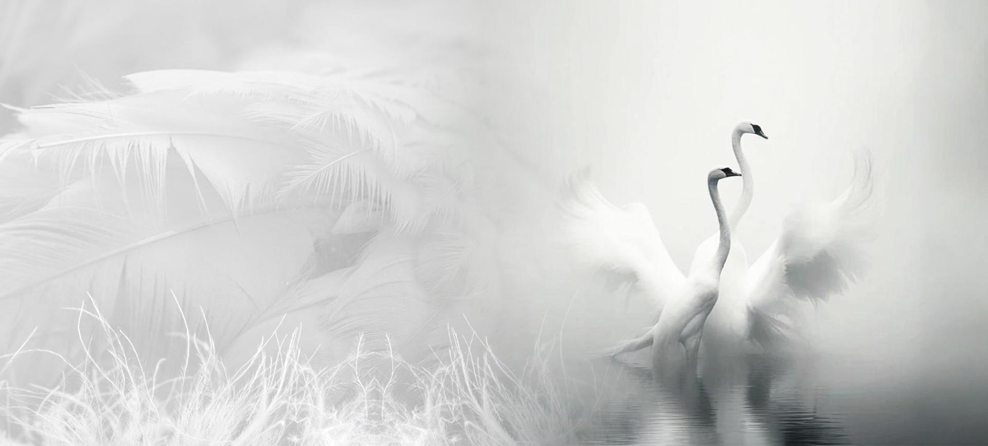 เจ้อเจียง Shengjie ดาวน์โปรดักส์ จำกัด