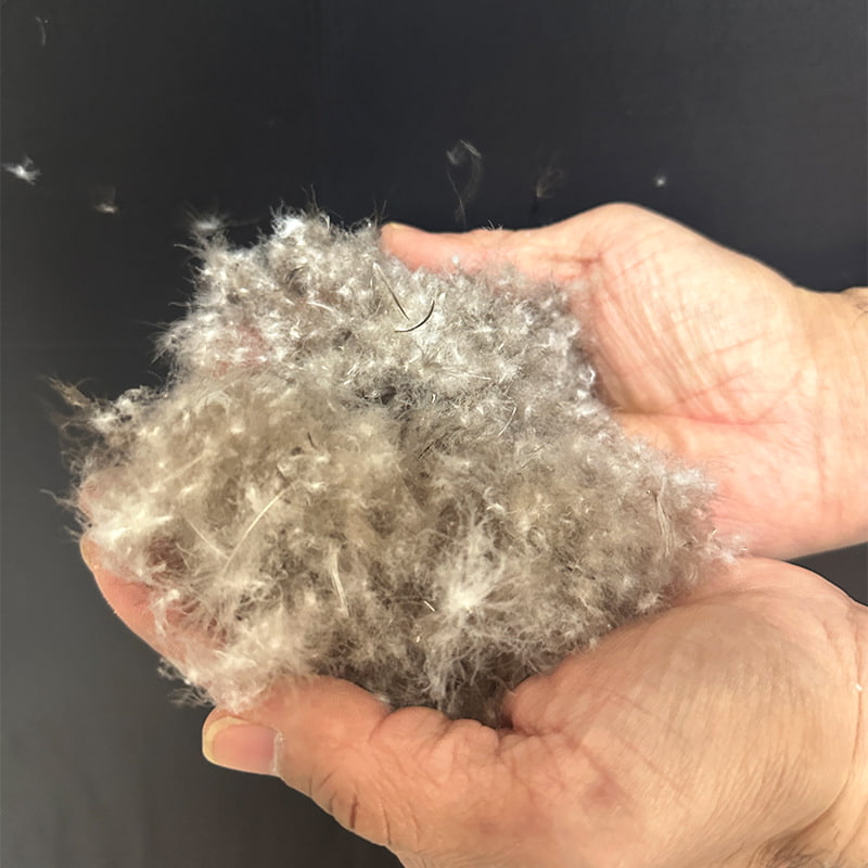 ขนเป็ดสีเทา 90% ขนเป็ดสีเทา 90%