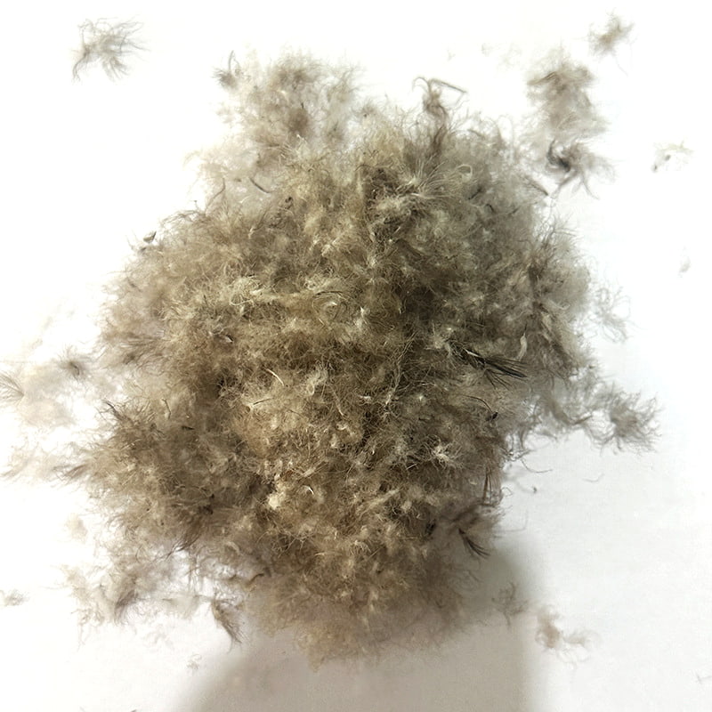 ขนเป็ดสีเทา 90% ขนเป็ดสีเทา 90%