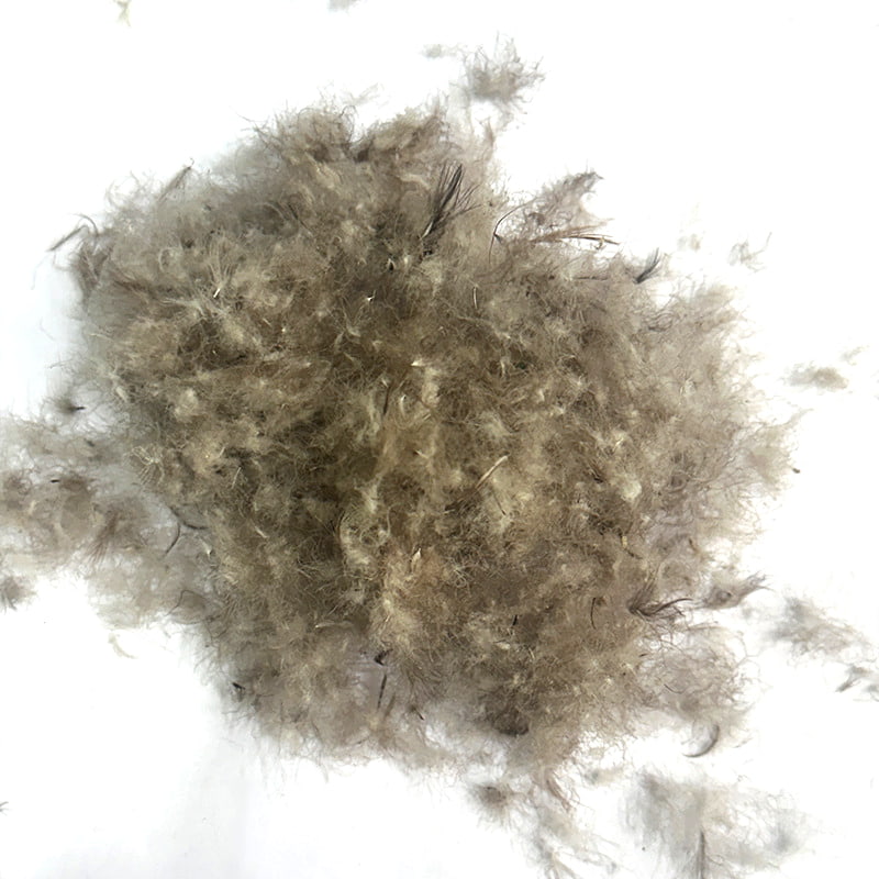 ขนเป็ดสีเทา 80% ขนเป็ดสีเทา 80%