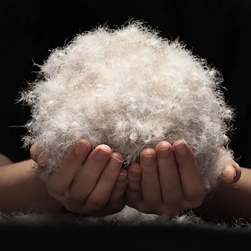 ขนเป็ดสีเทา 90% ขนเป็ดสีเทา 90%