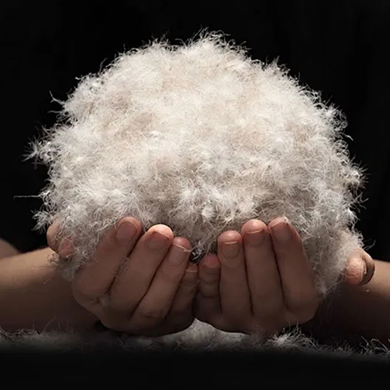 ขนเป็ดสีเทา 90%