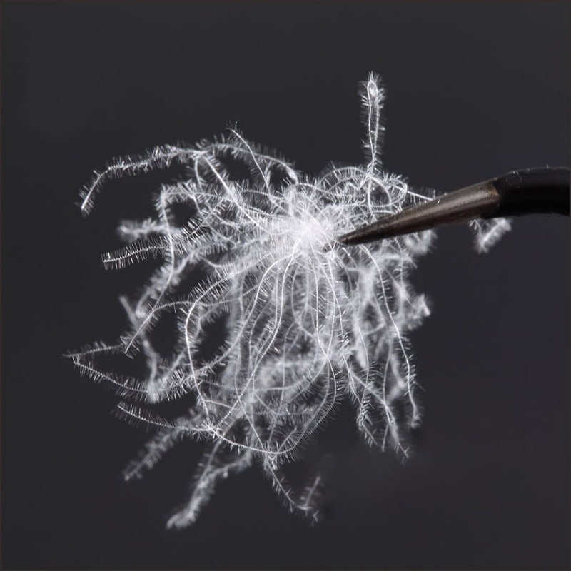 ขนเป็ดขาวบริสุทธิ์ 80%