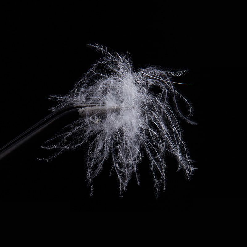 ขนเป็ดขาวบริสุทธิ์ 50%