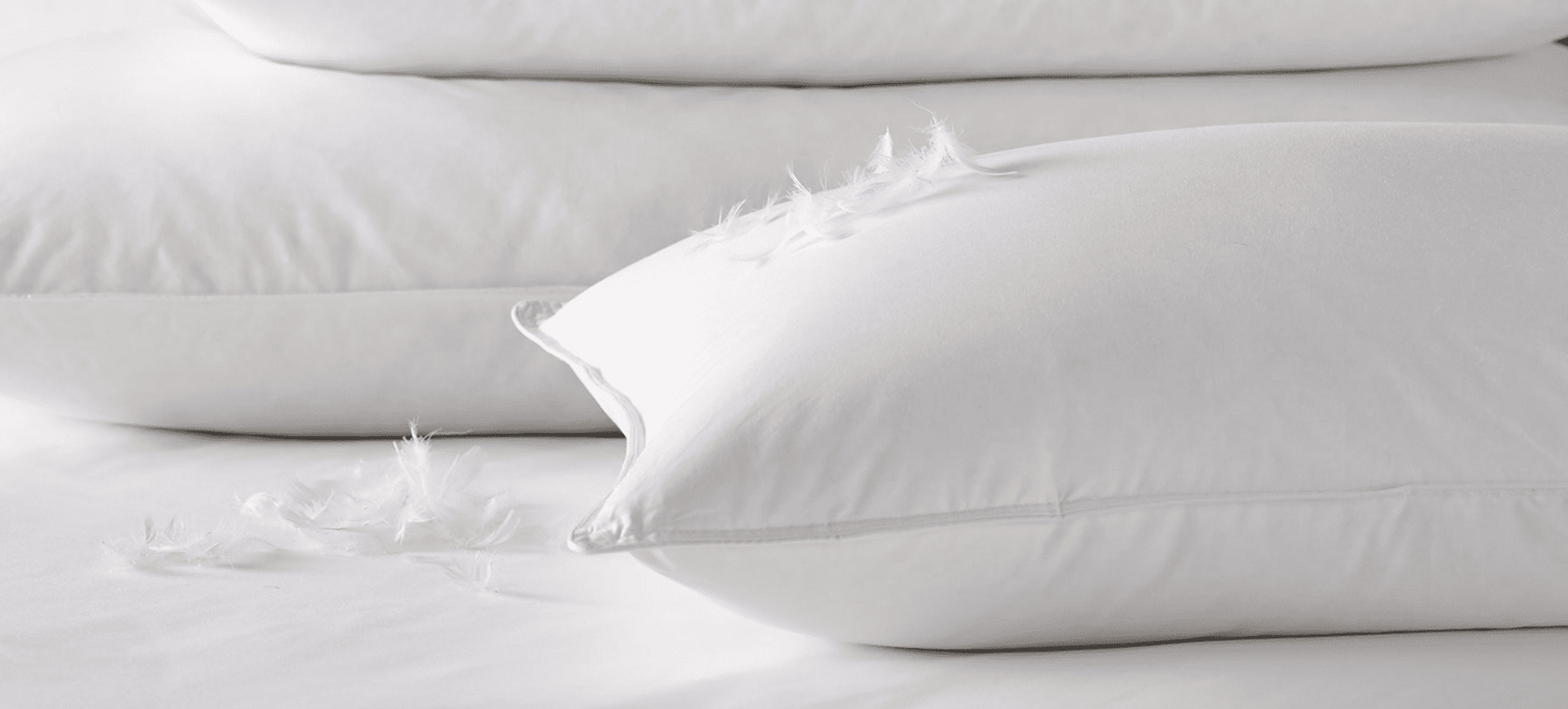 เจ้อเจียง Shengjie ดาวน์โปรดักส์ จำกัด