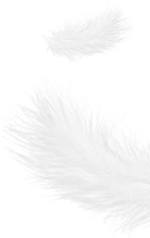 เจ้อเจียง Shengjie ดาวน์โปรดักส์ จำกัด