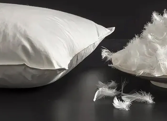 เจ้อเจียง Shengjie ดาวน์โปรดักส์ จำกัด