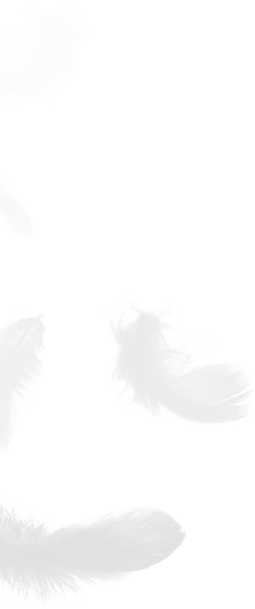 เจ้อเจียง Shengjie ดาวน์โปรดักส์ จำกัด